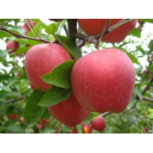 Pommes rouges fraîches en vrac